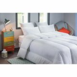 Dyne Blanreve 420 g/m 240 x 260 cm #5