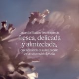 Dameparfume L'Occitane En Provence LAVANDE 50 ml #5