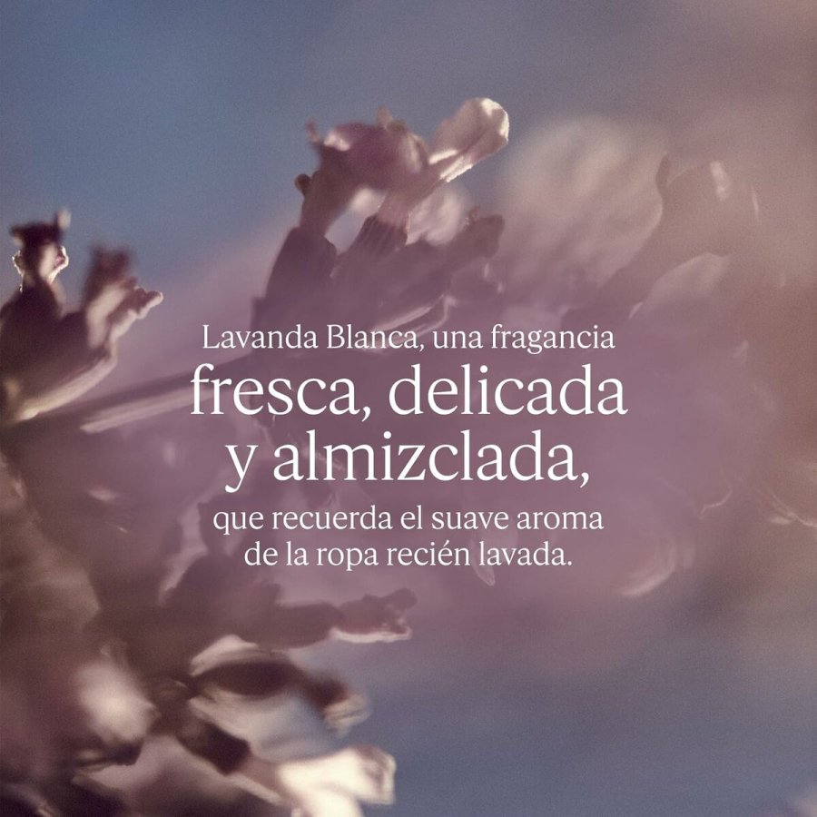 Dameparfume L'Occitane En Provence LAVANDE 50 ml #5