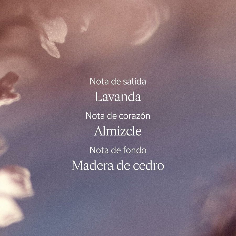 Dameparfume L'Occitane En Provence LAVANDE 50 ml #6