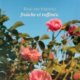 Fugtgivende Fodcreme L'Occitane En Provence ROSE L'OCCITANE 30 ml #2