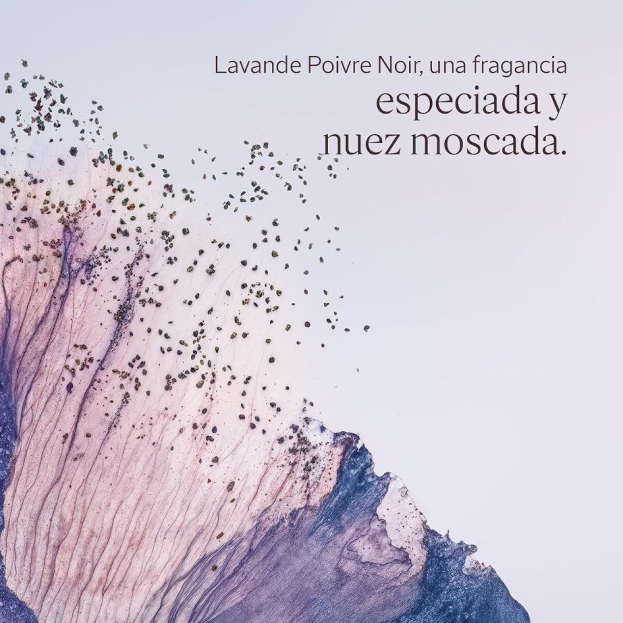 Shower gel L'Occitane En Provence LAVANDE POIVRE NOIR #3