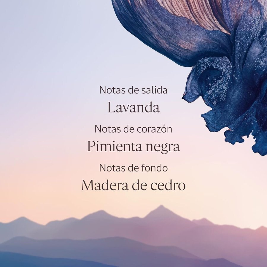 Spray Deodorant L'Occitane En Provence LAVANDE POIVRE NOIR #3