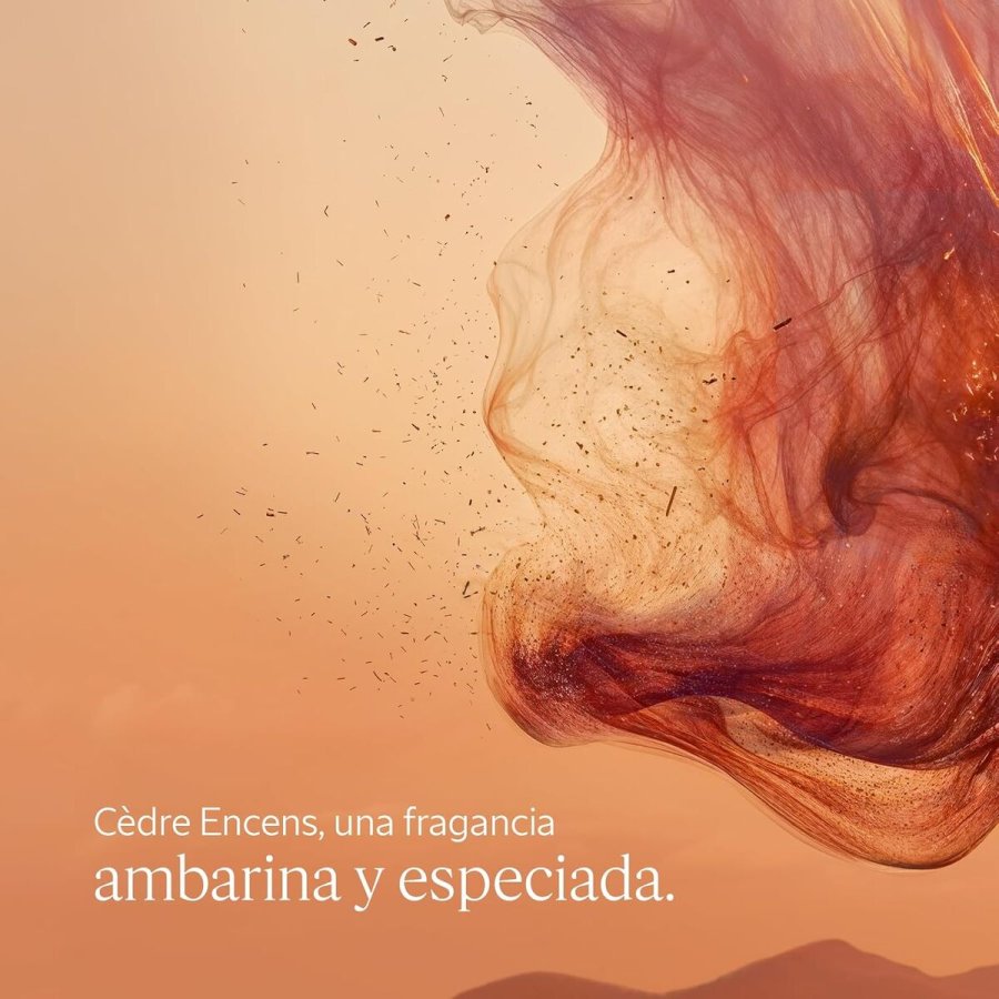 Shower gel L'Occitane En Provence CDRE ENCENS #3