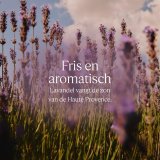 S�be Pille L'Occitane En Provence KARIT� CONFORT 250 g Lavendel #3