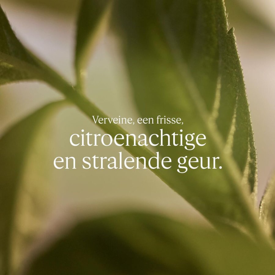 S�be Pille L'Occitane En Provence KARIT� CONFORT 250 g Jernurt #3