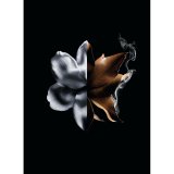 Dameparfume Givenchy L'Interdit Absolu L'Interdit Absolu 50 ml #6