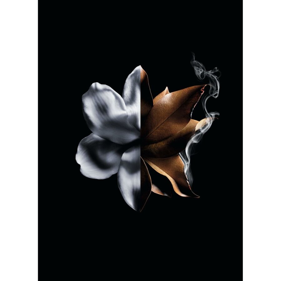 Dameparfume Givenchy L'Interdit Absolu L'Interdit Absolu 50 ml #6
