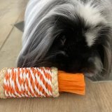 Plush legetj til hunde Tyrol #2