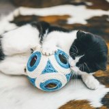 Kradsebrtter til katte Aim #4