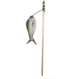 Legetj til katte Aim Tr #2