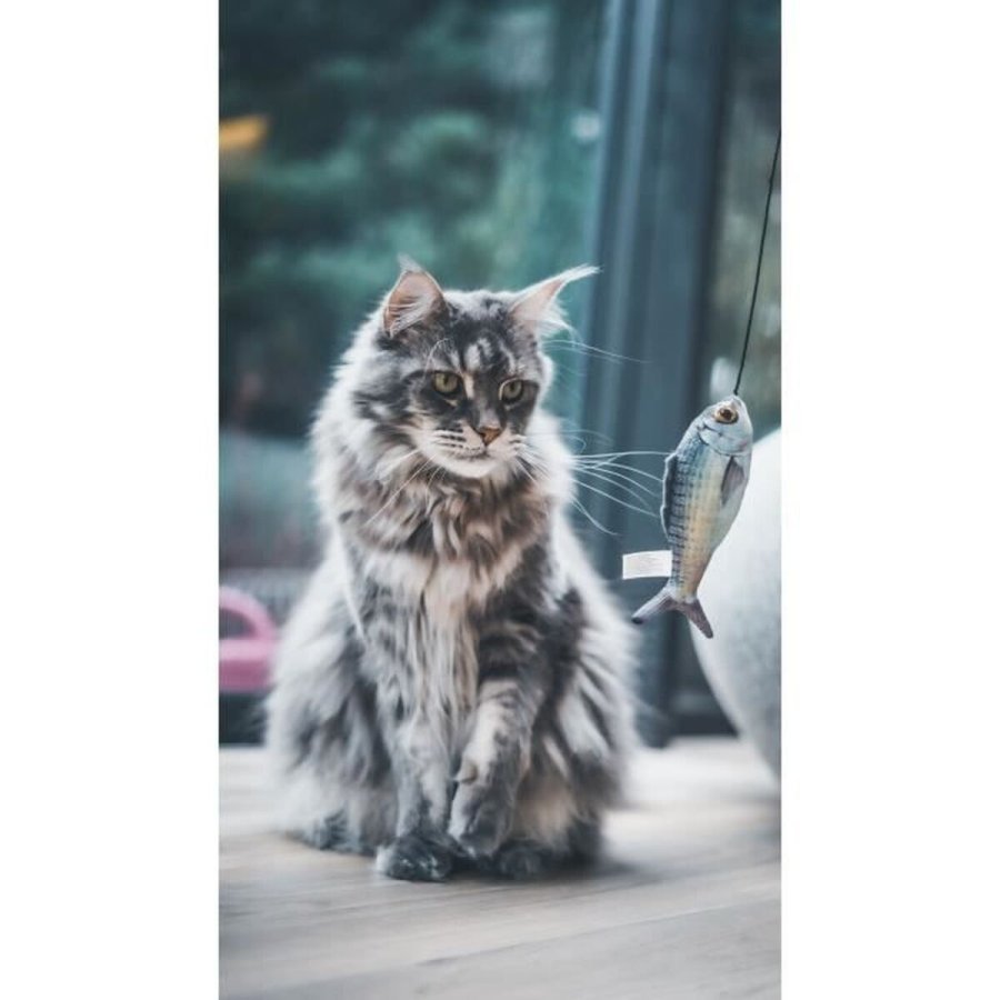 Legetj til katte Aim Tr #3