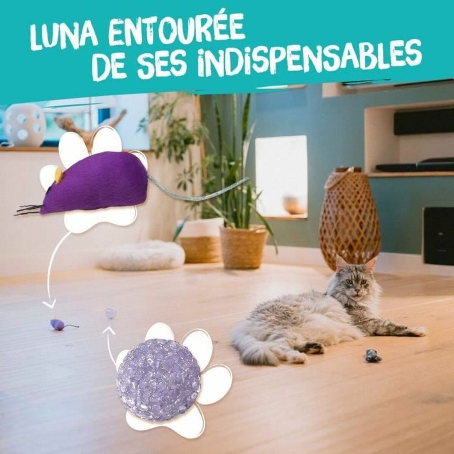 Legetj til katte Aim Multifarvet 7 Dele #5