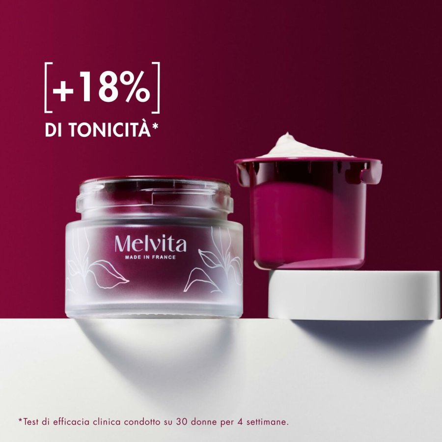 Ansigtscreme Melvita ARGN BIO #2