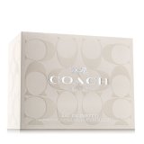Dameparfume Coach Coach Signature EDP 100 ml #1