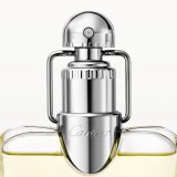 Herreparfume Cartier Dclaration EDT 100 ml #3