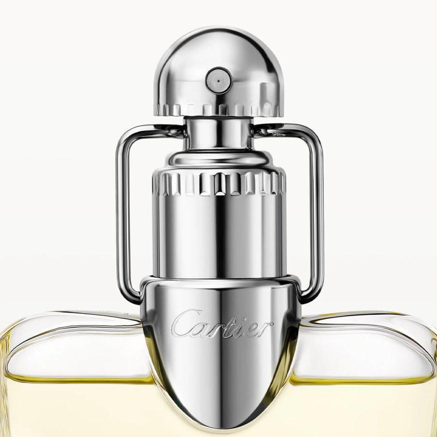 Herreparfume Cartier Dclaration EDT 100 ml #3