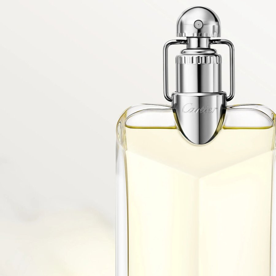 Herreparfume Cartier Dclaration EDT 100 ml #4