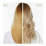 Shampoo med mateffekt til Blond Hr Biolage Colorlast Purple 250 ml #2