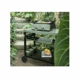 Grill Livoo #3