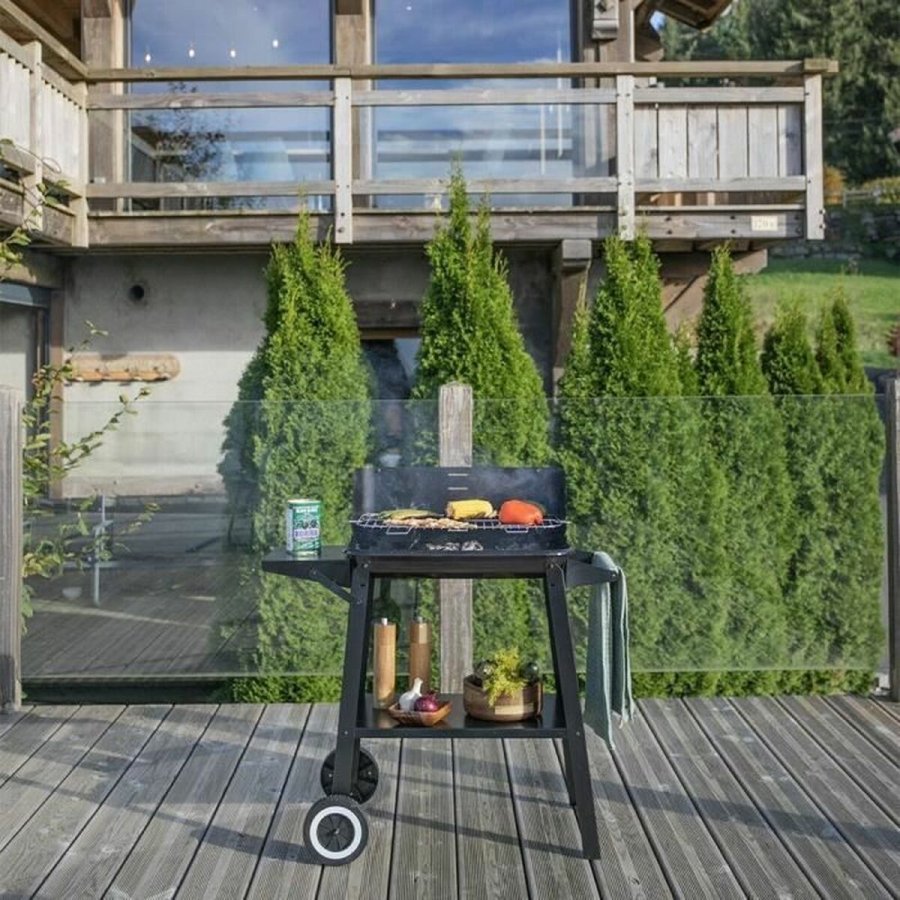 Havegrill Transportabel Livoo Rustfrit stl #21