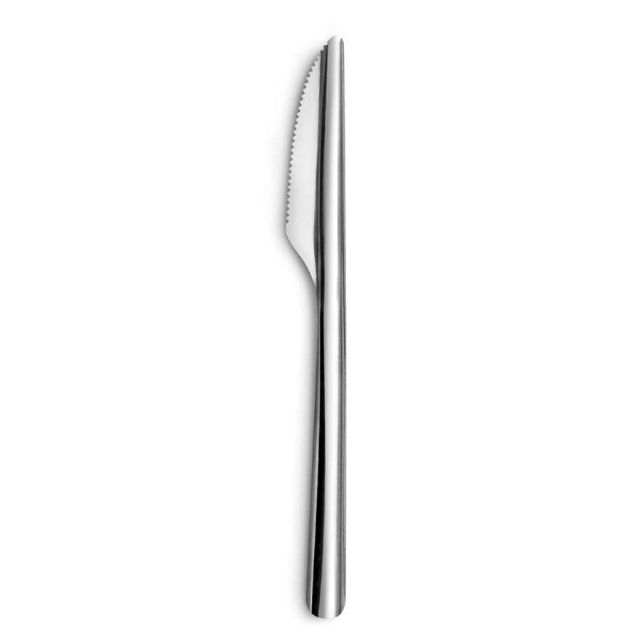 Knivst Amefa Ecologic Slim Metal Stl (12 enheder) #1
