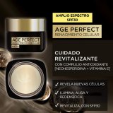 Ansigtscreme L'Oreal Make Up Age Perfect Cell Renewal Spf 30 50 ml #4