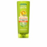 Hrmaske Garnier Fructis Liso Brillo 250 ml #1