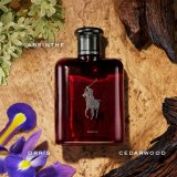 Herreparfume Ralph Lauren Polo Red EDP 75 ml #3