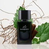 Herreparfume Burberry Mr. Burberry 100 ml #5