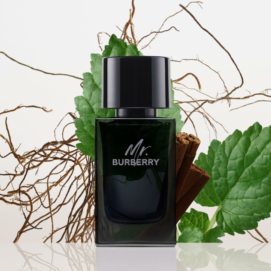 Herreparfume Burberry Mr. Burberry 100 ml #5