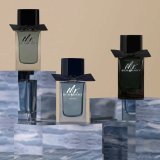 Herreparfume Burberry Mr. Burberry 100 ml #6