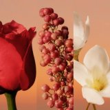 Herreparfume Calvin Klein 30 ml #4