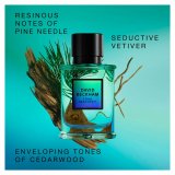 Herreparfume David Beckham True Instinct EDP 75 ml #4