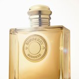 Dameparfume Burberry BURBERRY GODDESS 100 ml #7