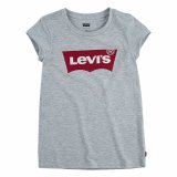 Brne Kortrmet T-shirt Levi's Batwing Lysegr #1