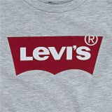 Brne Kortrmet T-shirt Levi's Batwing Lysegr #5