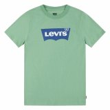 T-shirt Levi's Batwing Meadow  Akvamarin #6