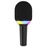 Mikrofon Ledwood SINGMASTER #1