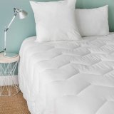 Puden Toison D'or #2