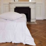 Puden Toison D'or Hvid #2