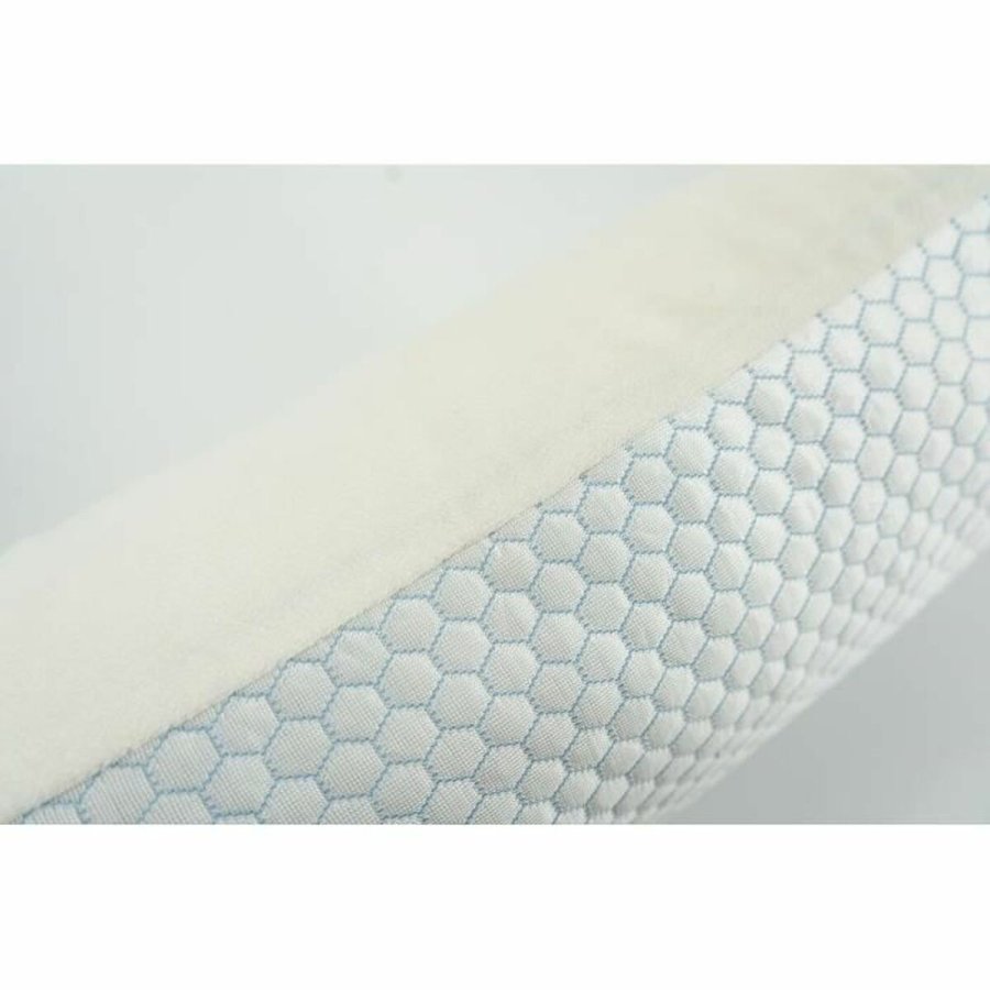 Puden Toison D'or #2