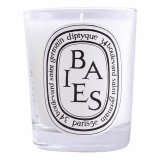 Luftfrisker Diptyque Scented Candle 190 g #1