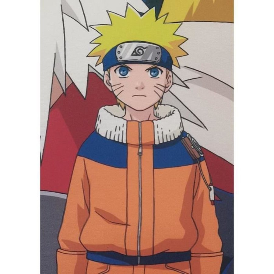 Pude Naruto Multifarvet Polyester Udskrevet Brns #3