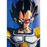 Pude Dragon Ball Multifarvet Polyester Udskrevet Brns #5