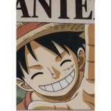 Pude One Piece #2