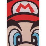 Pude Mario Bros 39 x 3 x 41 cm Multifarvet Polyester Udskrevet Brns #4