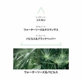 Dameparfume Le Couvent des Minimes #3