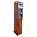 Bluetooth-hjttaler Inovalley HP34-CD-WOOD 100W #3