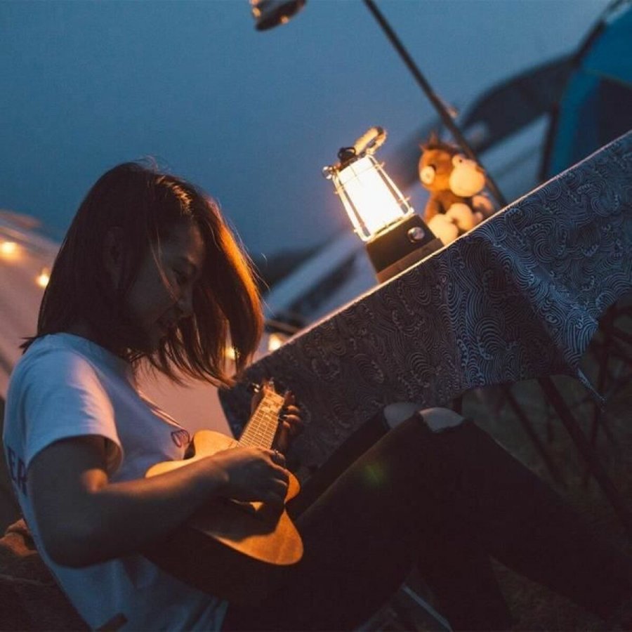 Laantarn Lumisky WILDY #2